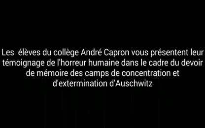 Voyage Auschwitz 2017 Collège Capron