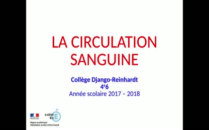 4e6 - Circulation sanguine