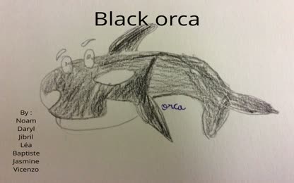 Black orca