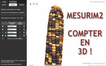 Mesurim2 : réaliser un comptage sur un modèle en 3D